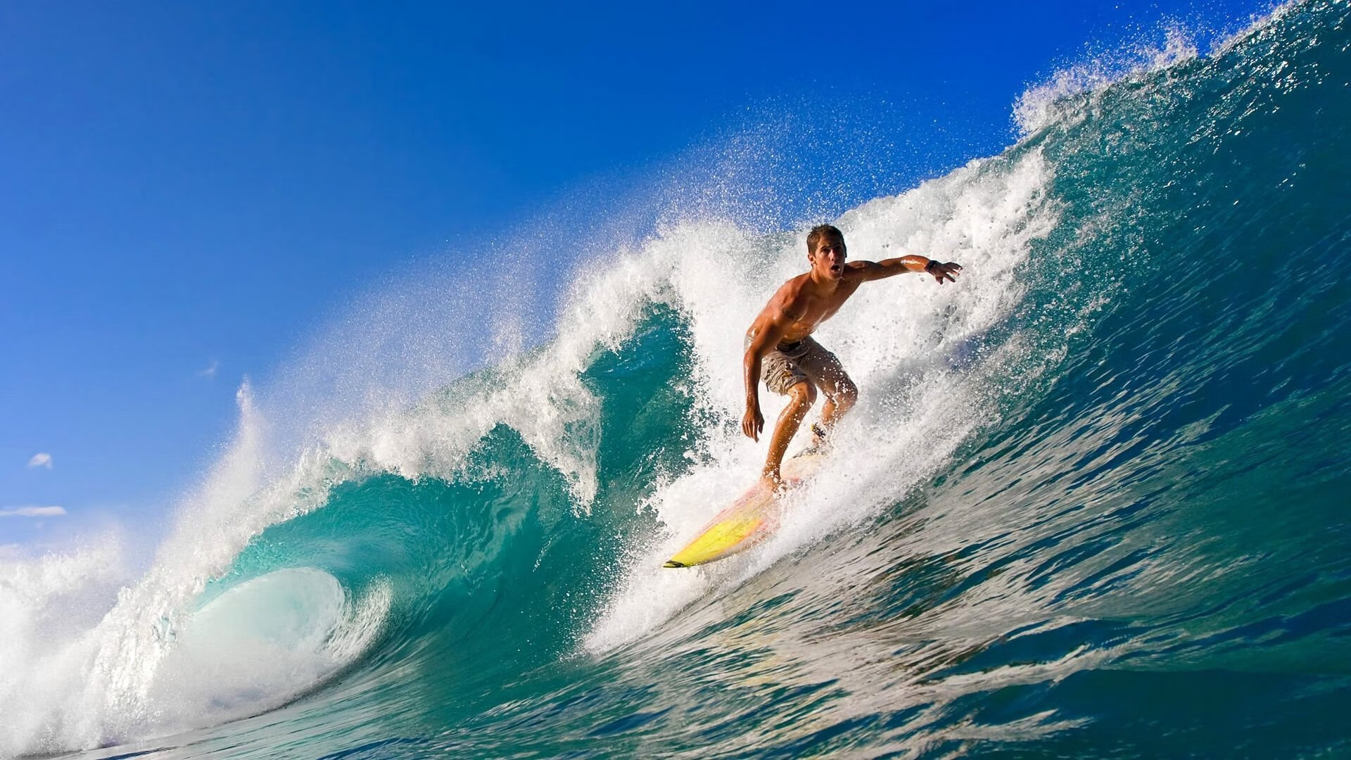 球队制定远期人才储备计划加强青训梯队纵向整合与培养效率